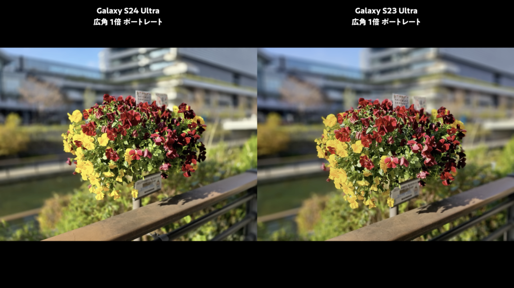 Galaxy S24 UltraとGalaxy S23 Ultraを比較　ポートレートモード