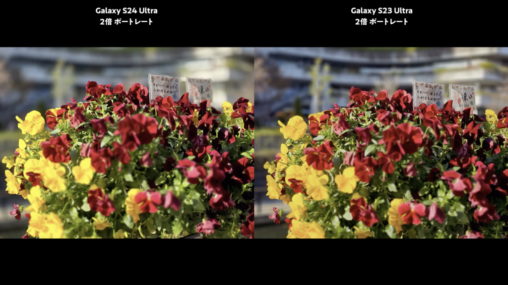 Galaxy S24 UltraとGalaxy S23 Ultraを比較　ポートレートモード