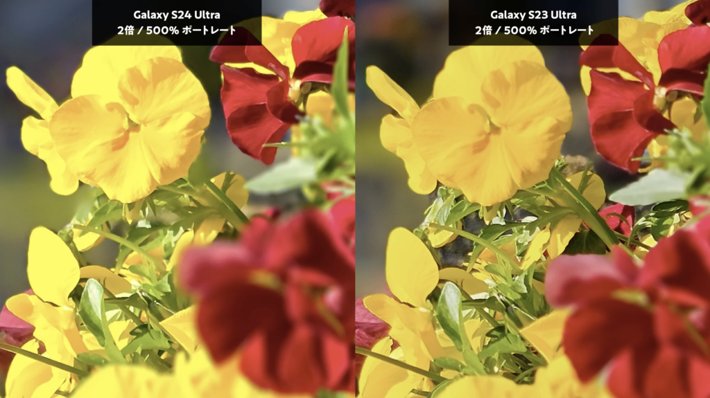 Galaxy S24 UltraとGalaxy S23 Ultraを比較　ポートレートモード