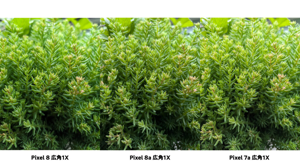 Pixel 8 vs Pixel 8a vs Pixel 7aのカメラ比較