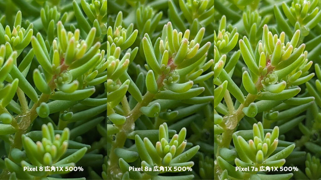 Pixel 8 vs Pixel 8a vs Pixel 7aのカメラ比較
