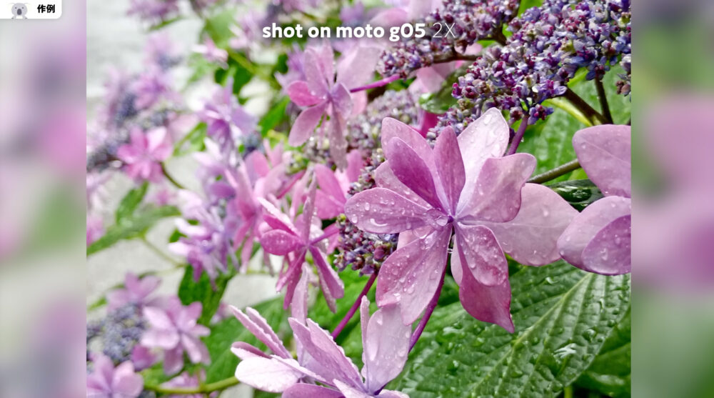 moto g05の写真