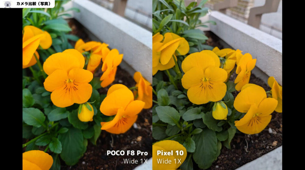 poco f8 proの写真作例