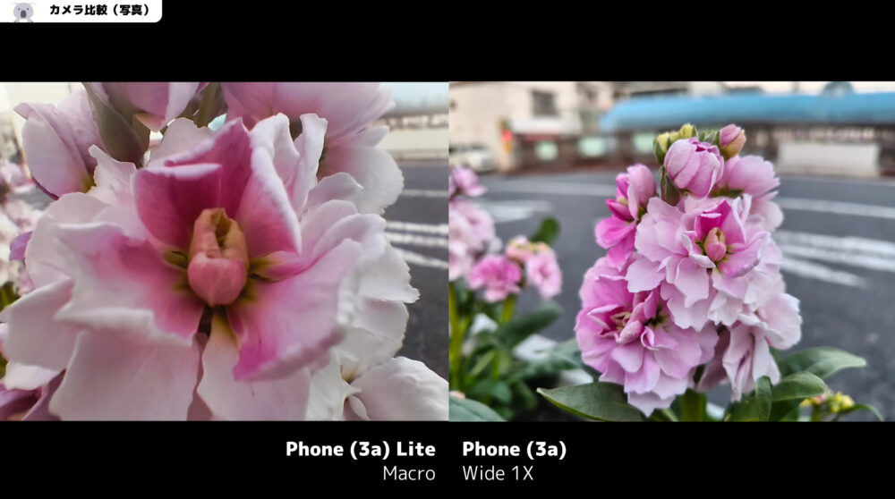 Nothing Phone (3a) LiteとPhone (3a)のマクロ写真比較